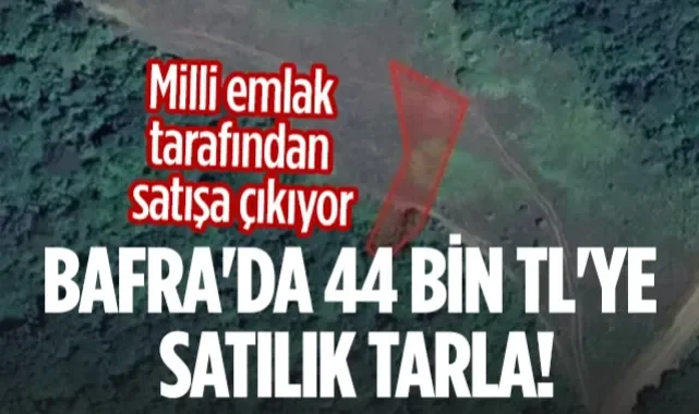 Samsun Bafra'da 44 Bin TL'ye Satılık Tarla!