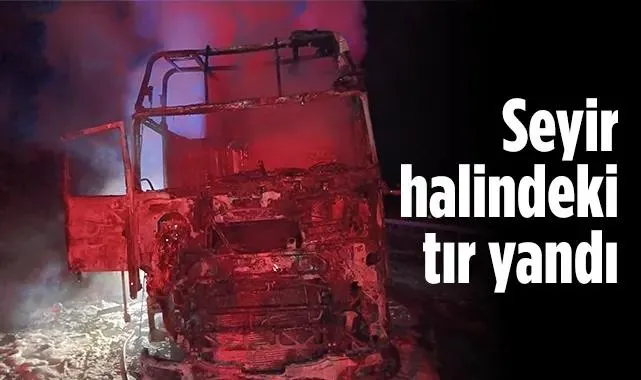 Samsun'da Ahşap Yüklü Tır Alevlere Teslim Oldu