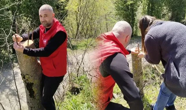 Samsun'da Ceviz Rekoltesi Artacak: İlçe Müdürlüğünden Uygulamalı Eğitim