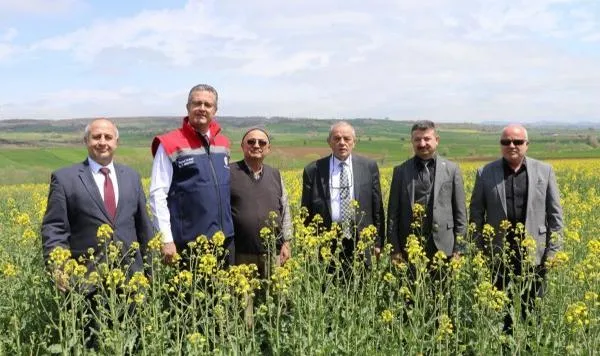 Samsun'da Çiftçiye Ayçiçeği ve Kuru Fasulye Tohumu Desteği