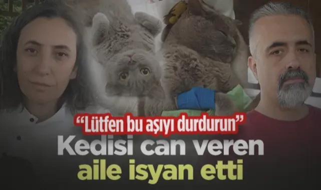 Samsun'da Kedisi Can Veren Aile İsyan Etti: Lütfen Bu Aşıyı Durdurun