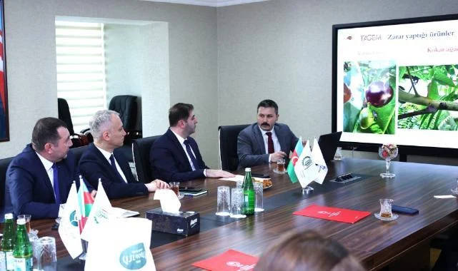 Samsun’dan Azerbaycan’a Tarım Çıkartması: Kokarcaya Karşı Ortak Cephe!