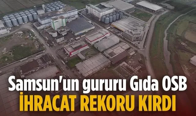 Samsun Gıda OSB'den 110 Ülkeye Milyon Dolarlık İhracat