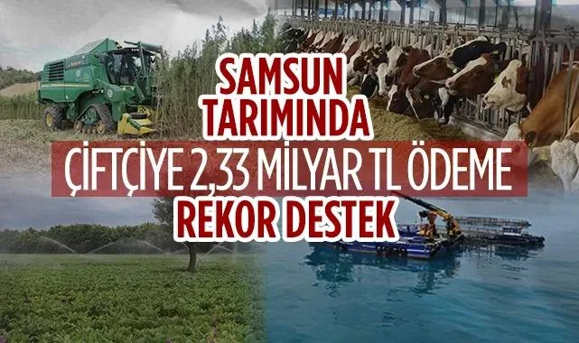 Samsun Tarımında Rekor Destek: Çiftçiye 2,33 Milyar TL Ödeme