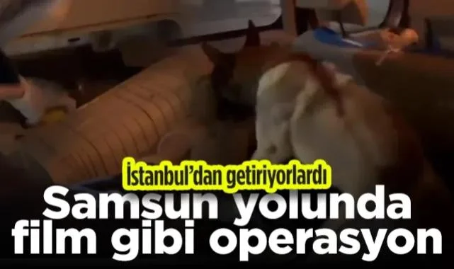 Samsun Yolunda Film Gibi Operasyon! İstanbul'dan Getiriyorlardı...