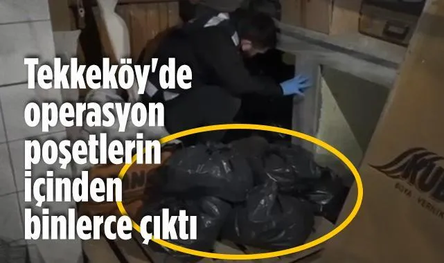Tekkeköy'de Uyuşturucu Operasyonu: Binlercesi Ele Geçirildi