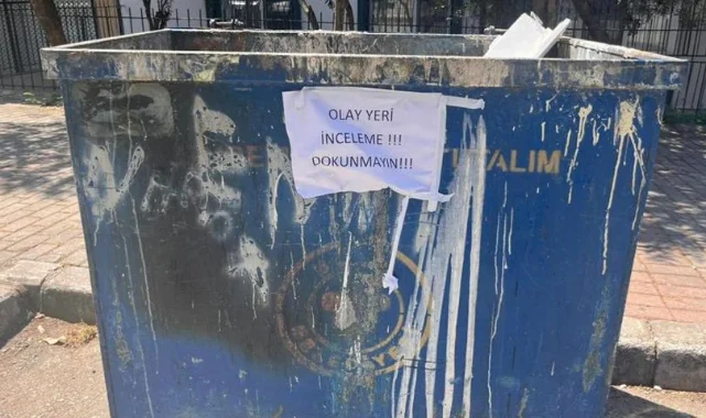 33 kedi ölüsü bulundu! Veteriner gözaltında