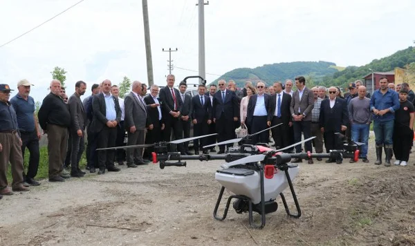 Bafra Ovası'nda çeltik tohumları dron ile toprakla buluşturuluyor