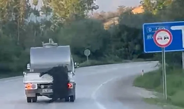 Bolu'da kurbanlığı aracın arkasından sarkıtıp sürükledi