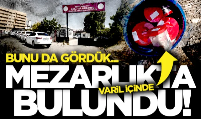 Bunu da gördük! Mezarlıkta varil içinde bulundular...