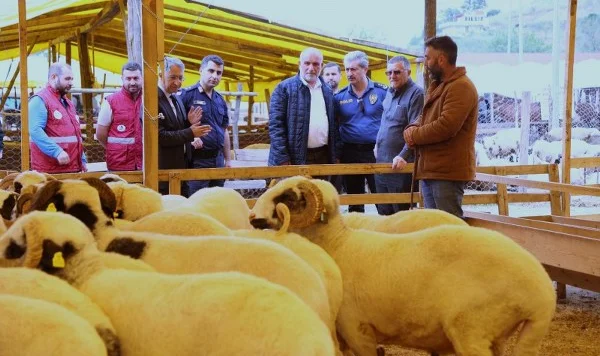 Canik Kurban Pazarı'na yoğun ilgi