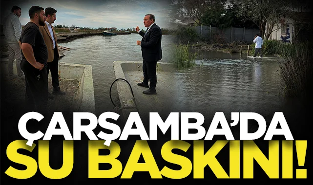 Çarşamba'da tarım arazilerini su bastı