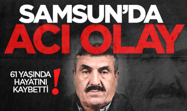 Samsun'da devrilen ağacın altında kalan yaşlı adam hayatını kaybetti