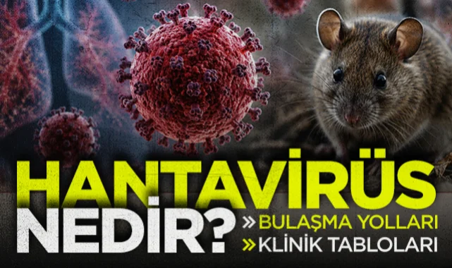 Hantavirüs Nedir? Belirtileri, Bulaşma Yolları ve Klinik Tabloları