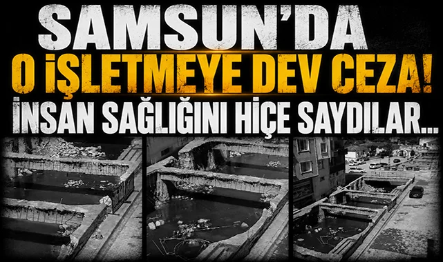 Havza'da dereye hayvan kanı akıtan işletmeye ceza yağdı
