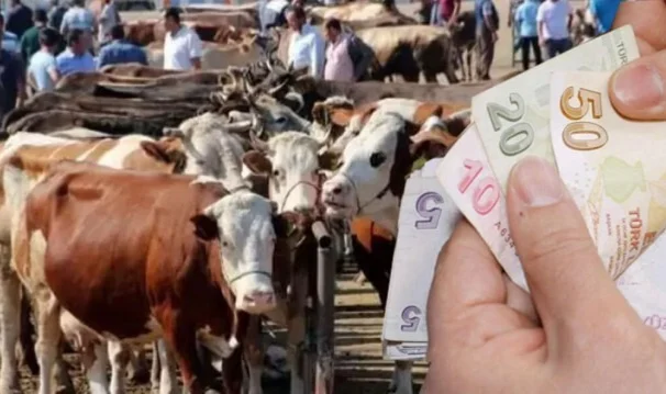 Kurban Bayramı Öncesi Sahte Para Uyarısı!