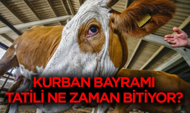 Kurban Bayramı tatili ne zaman bitiyor? Bayramı tatili kaç gün, hangi gün bitiyor? Kimlere 9 gün tatil?