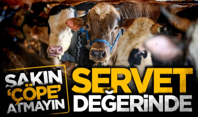 Kurban Kesecekler Dikkat Kurban Derisini Sakın Çöpe Atmayın