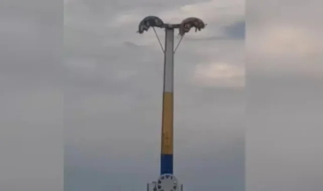 Lunaparkta dehşet anları: Metrelerce yüksekte baş aşağı asılı kaldılar