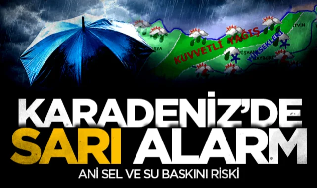 Meteoroloji'den Karadeniz için sarı kodlu alarm