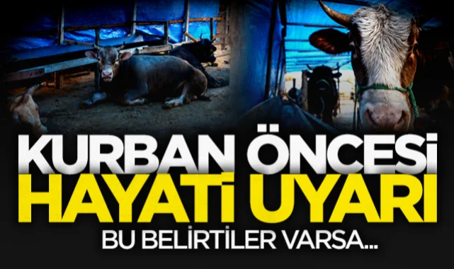 OMÜ'lü Profesörden kurban öncesi hayati uyarılar! Bu belirtiler varsa...