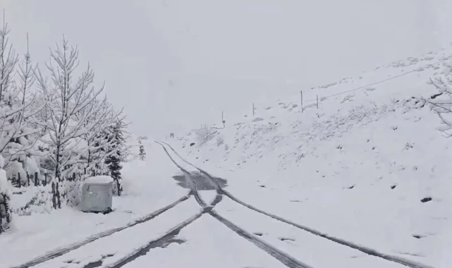 Ordu'da Mayıs Ayında Kar Yağdı