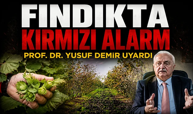 Prof. Dr. Yusuf Demir uyardı: Fındıkta kırmızı alarm!