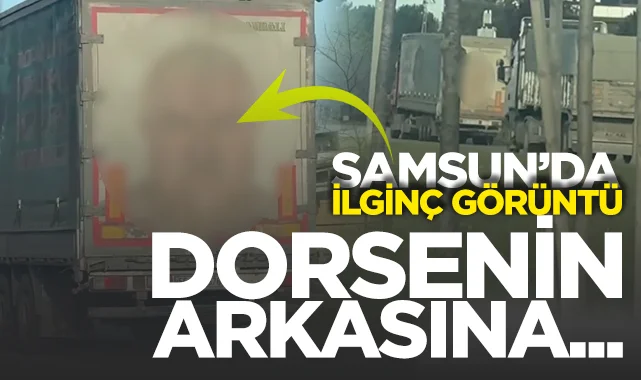 Samsun'da İlginç Görüntü: Dorsesine Kendi Vesikalık Fotoğrafını Yapıştırdı