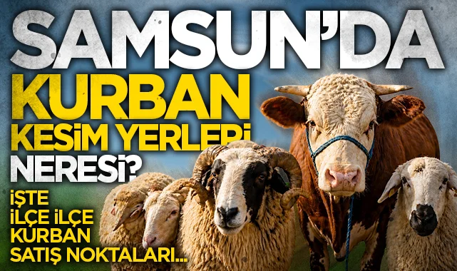 Samsun'da kurban kesim yerleri neresi? İşte ilçe ilçe kurban satış noktaları