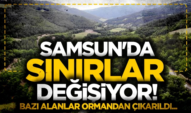 Samsun'da orman sınırları değişiyor: Devlete tahsisler yapılacak