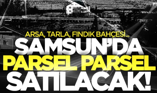 Samsun'da parsel parsel arsa satışı olacak! Tarla, Fındık bahçesi gibi 9 taşınmaz için ilanlar verildi...
