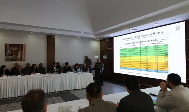 Samsun’da sokak hayvanları alarmı: 10 ilçede tek bir tesis bile yok!