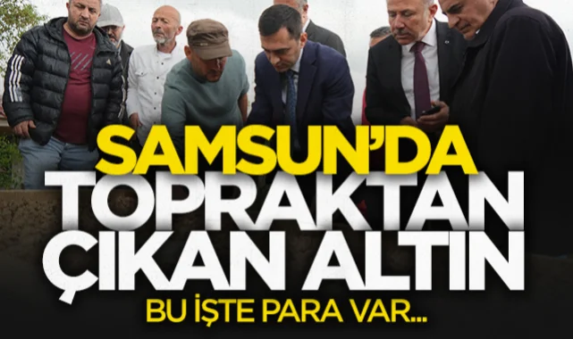 Samsun'da topraktan çıkan altın: Bu işte para var!