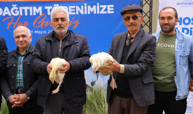 Samsun'da üreticiye büyük jest: Yüzlerce kaz...