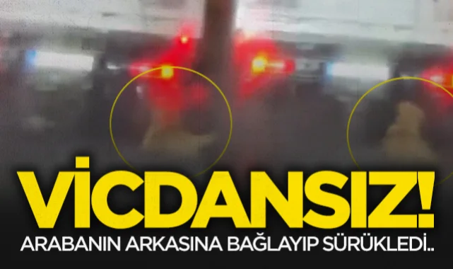 Samsun'da vicdansız sürücü Türkiye'de infial yarattı!