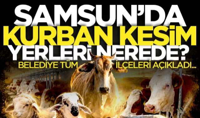 Samsun'da kurban kesim yerleri neresi? İşte ilçe ilçe kurban satış ve kesim yerleri...