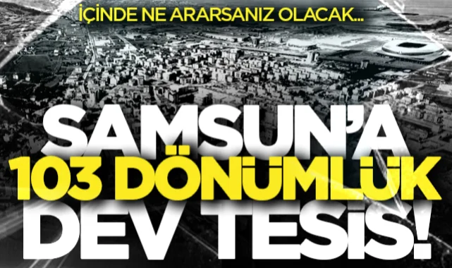 Samsun Tekkeköy'de İncir Konaklamasız Orman Parkı 20 yıl kiraya verilecek! Dev tesiste olacak aktiviteler açıklandı...
