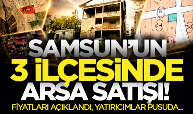 Samsun'un 3 ilçesinde arsalar satışa çıkıyor! Parsel parsel açıklandı: İlkadım, 19 Mayıs ve Havza...