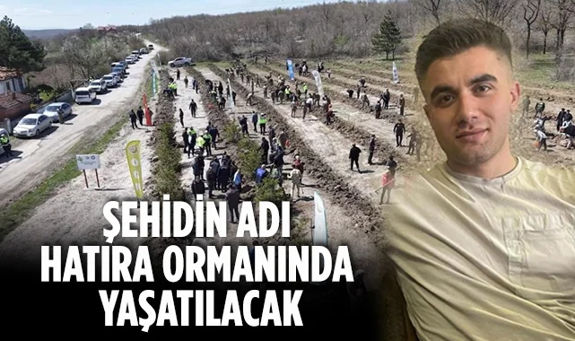 Şehit Polis Emre Albayrak'ın Adı Ladik'te Hatıra Ormanında Yaşayacak