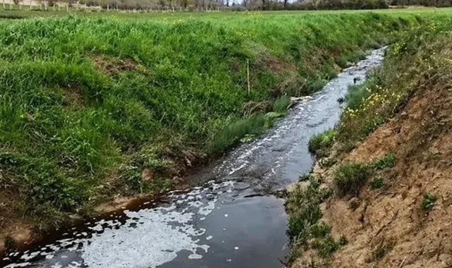 Sinop'ta o tesis hakkında şok karar: Cezası ikiye katlandı