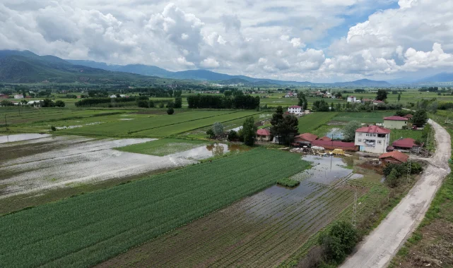Tokat'ta sağanak nedeniyle tarım arazilerini su bastı