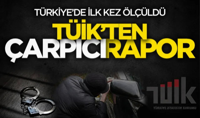 TÜİK ilk kez ölçtü: Türkiye'nin suç ve mağduriyet haritası açıklandı