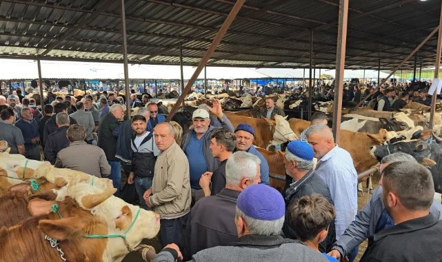 Vezirköprü Canlı Hayvan Pazarı'nda Kurban Bayramı öncesi yoğunluk