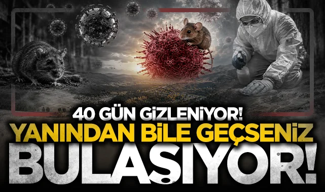 Yanından bile geçseniz bulaşıyor: 40 gün gizlenen sinsi virüs bir köyü yok etti