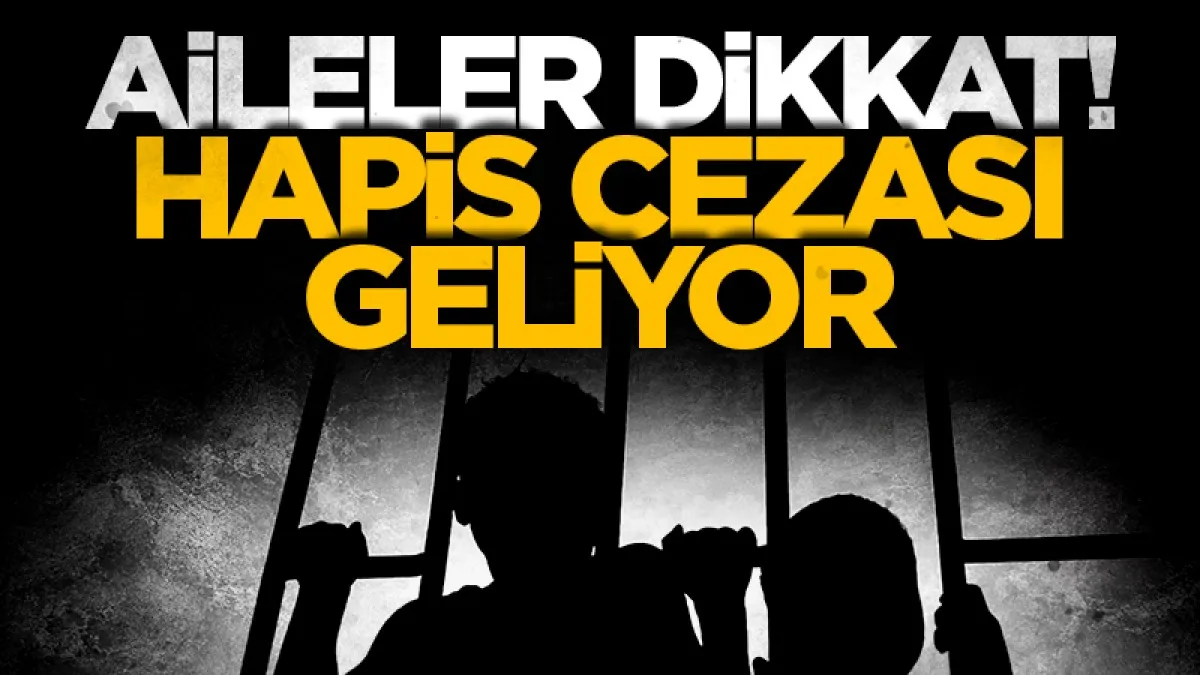 Artık ailelerde ceza alacak! TBMM'den yeni adım