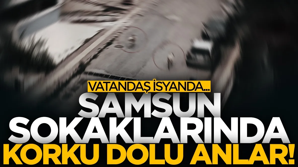 Atakum’da başıboş köpek tedirginliği: Vatandaşlar önlem istedi