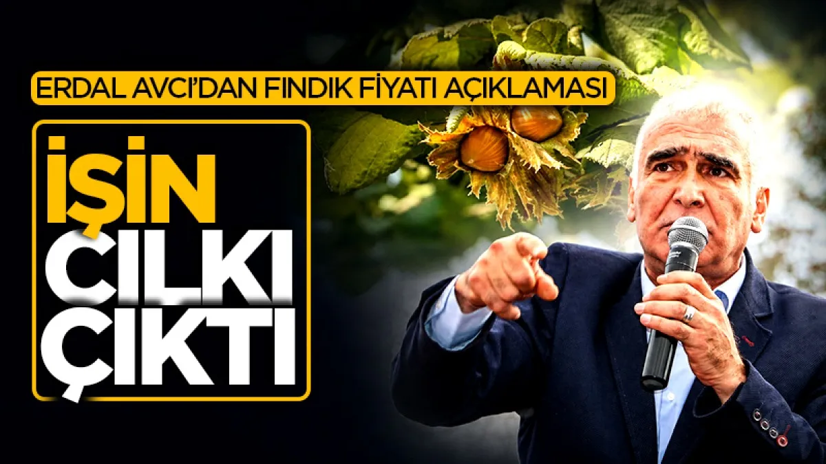 Ayvacık Ziraat Odası Başkanı Erdal Avcı’dan fındık fiyatı açıklaması: İşin cılkı çıktı