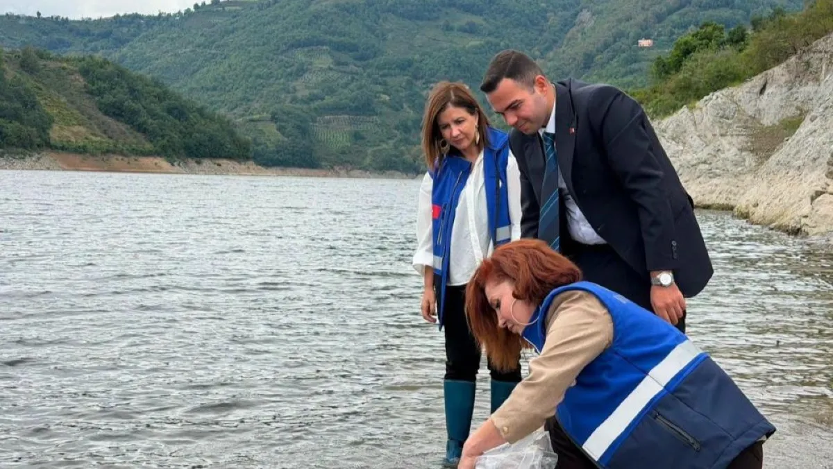 Ayvacık'ta baraj gölüne 250 bin yavru sazan bırakıldı
