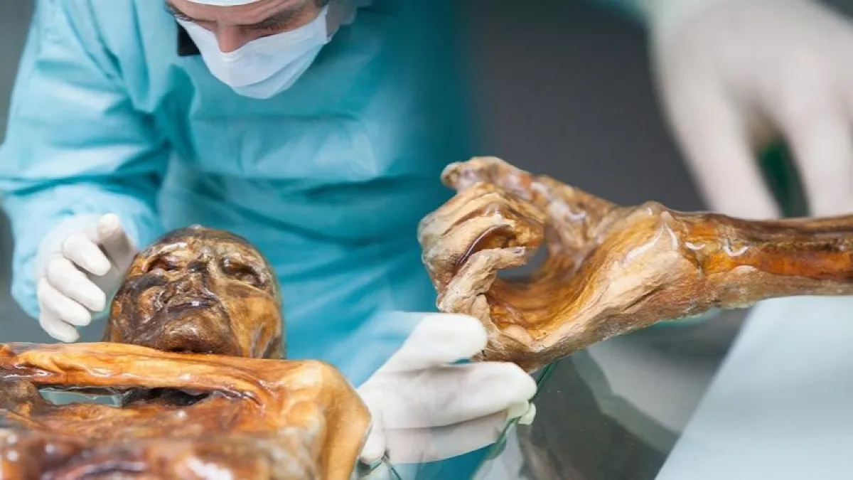 Bilim insanları 5.300 yıllık mumyadan ekşi mayalı ekmek yaptı!