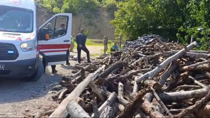 Eşini, odunla döve döve öldürdü